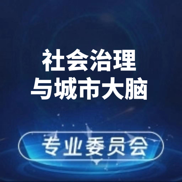 社会治理与城市大脑专业委员会