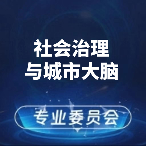 社会治理与城市大脑专业委员会