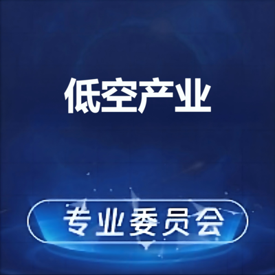 低空产业工作委员会党小组